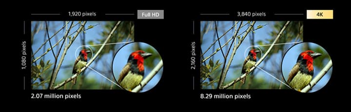 OTT is ahead of traditional broadcasting in 4K, finds Qarva