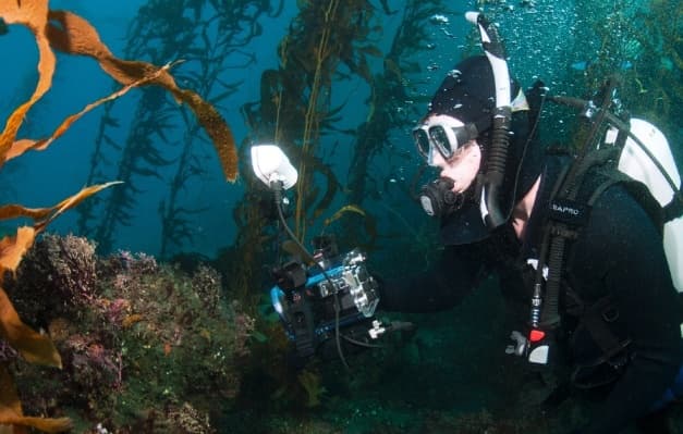 IPTV takes to the deep Australian seas