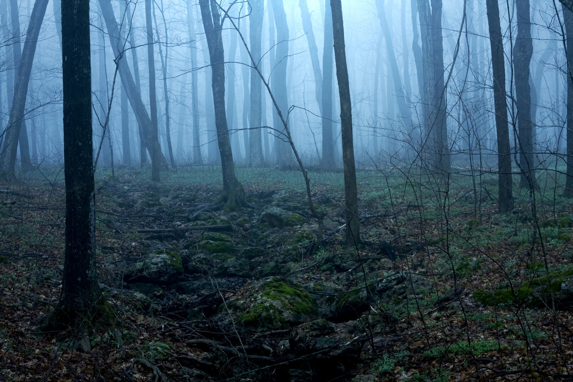 DramaFever and AMC to Launch Horror Streaming Site Shudder.tv